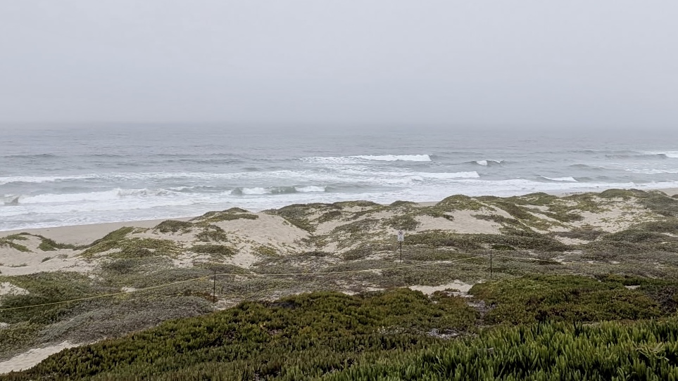 Surf Beach, CA